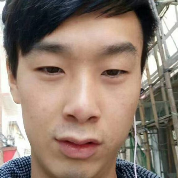 优美挽手灰狼的照片