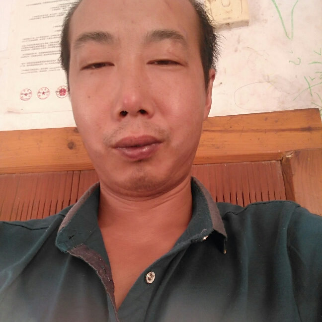 专一的含羞草的照片
