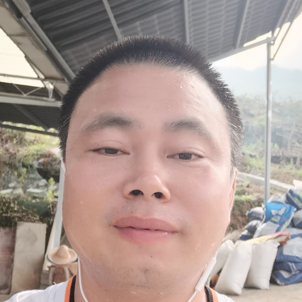 大树愿美好的照片