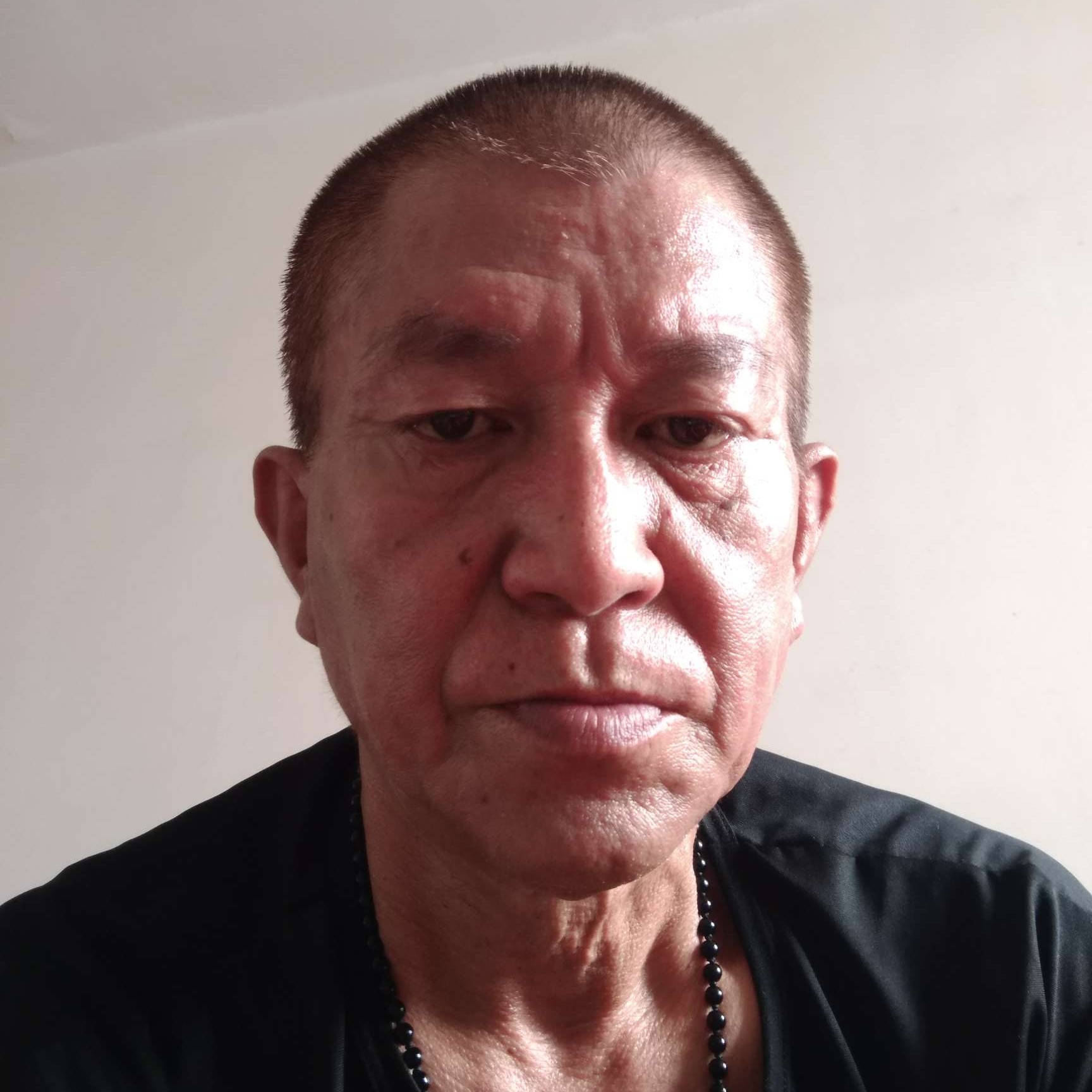 黑牡丹。的照片