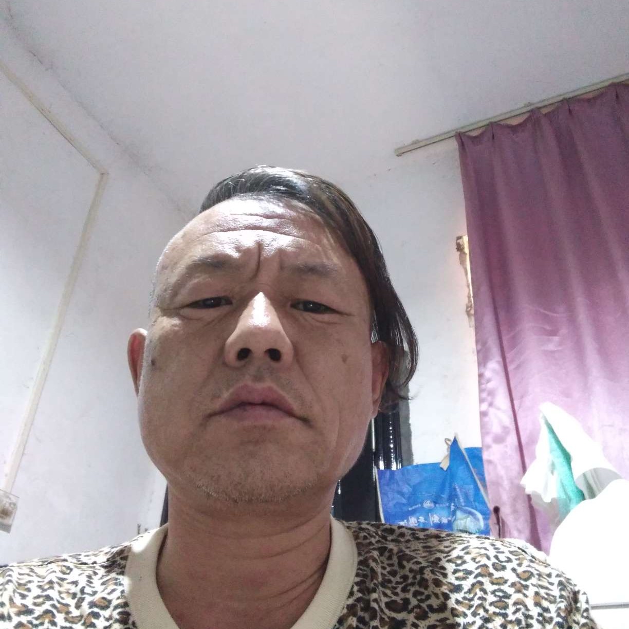 老虎蹁跹迷离的照片