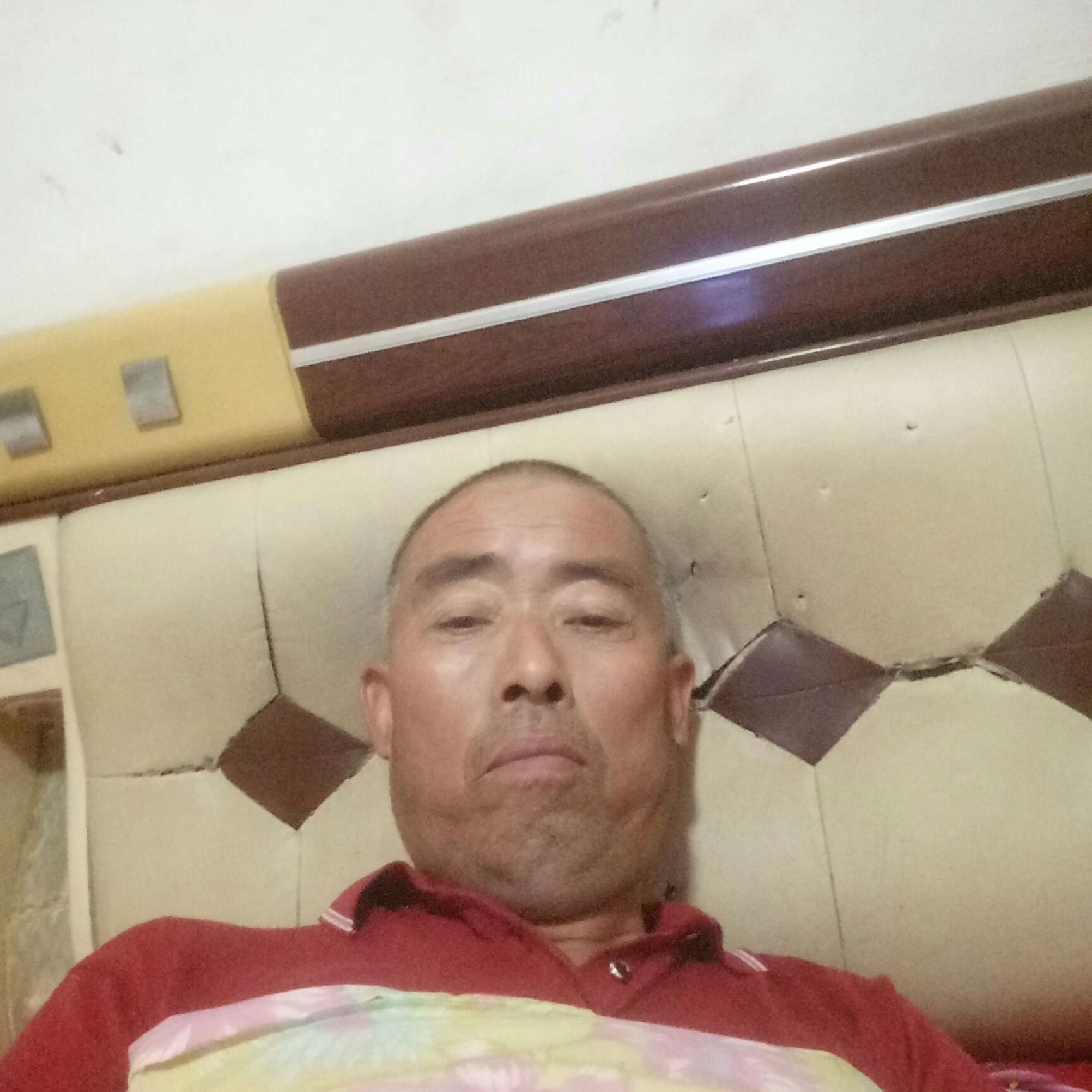 坦率说金鱼的照片