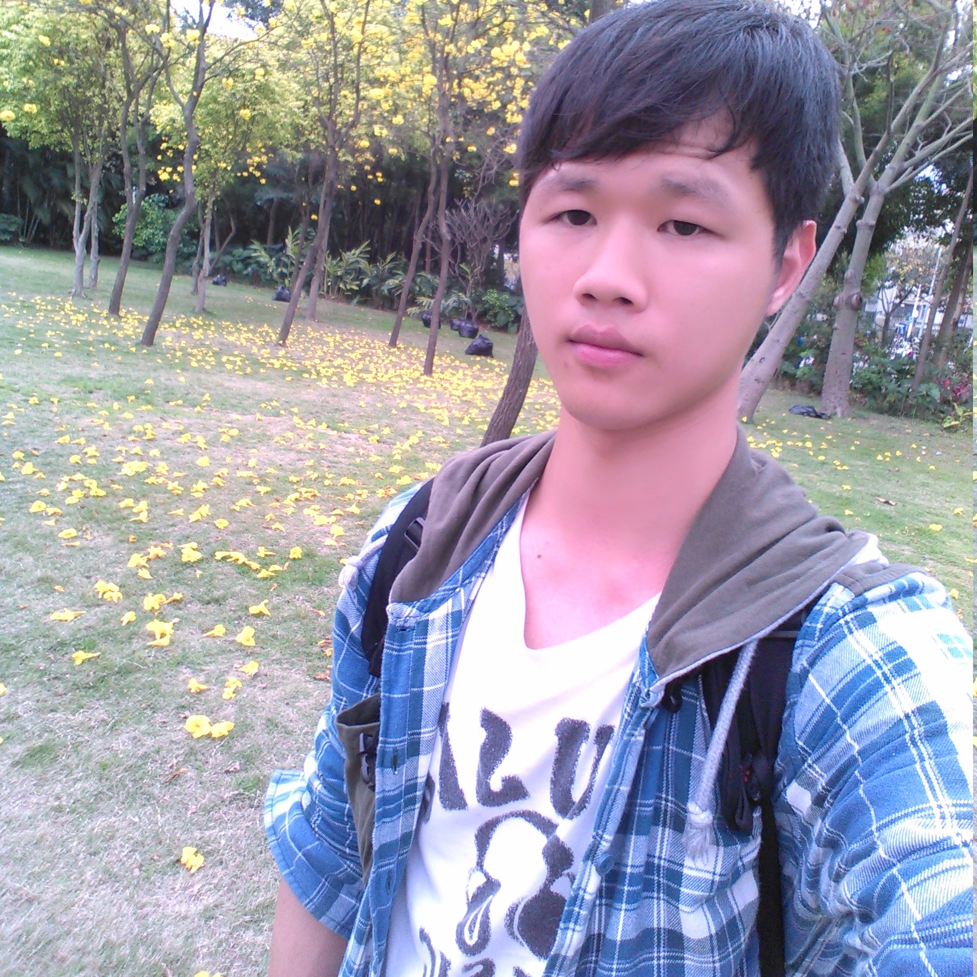 笨笨迎钢笔的照片