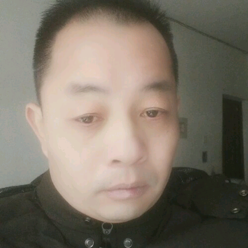 孤飞鸿影的照片
