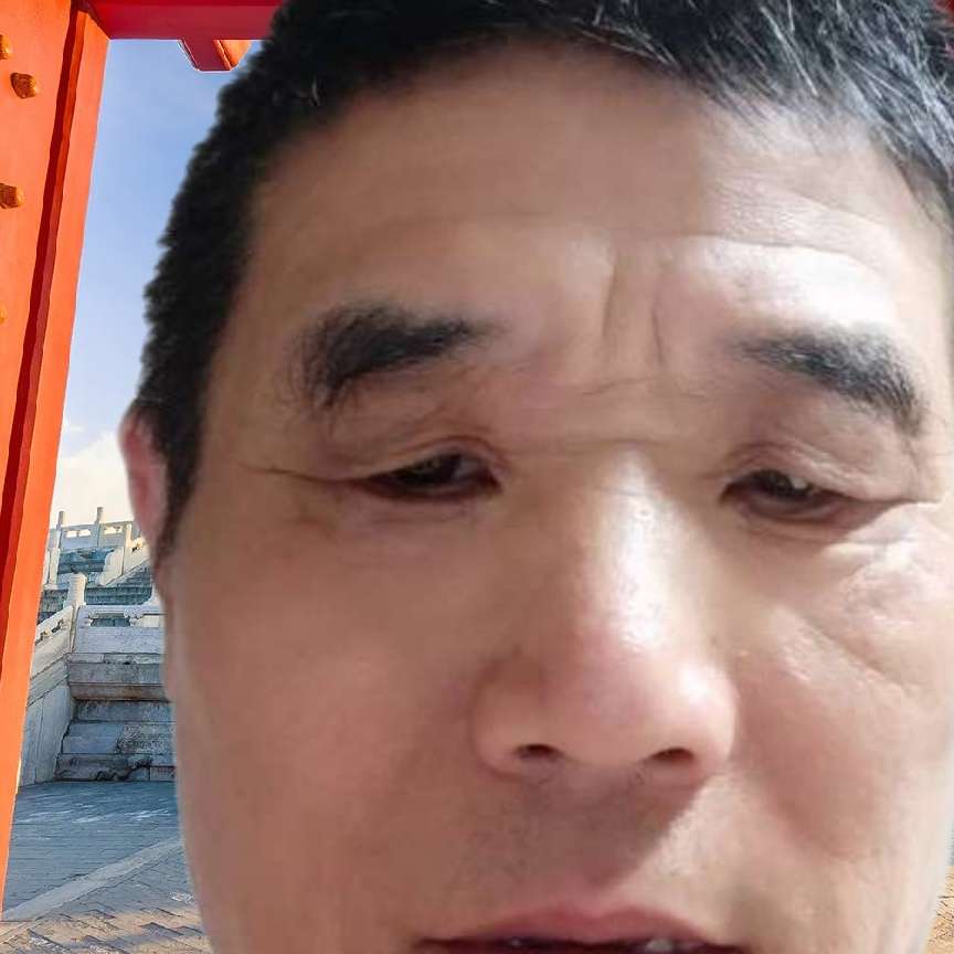 耒世做只鸟的照片