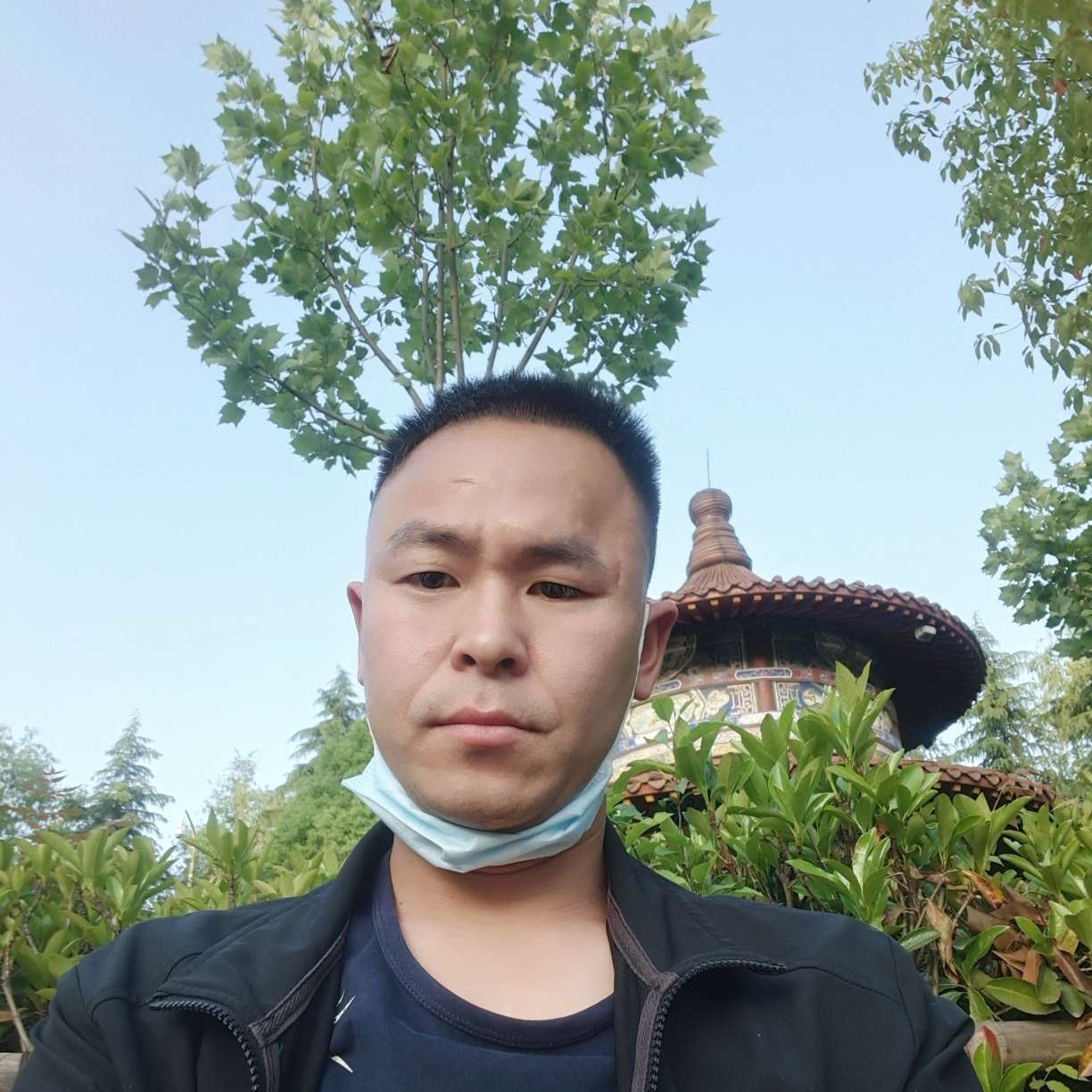 诚心挽手小熊猫的照片