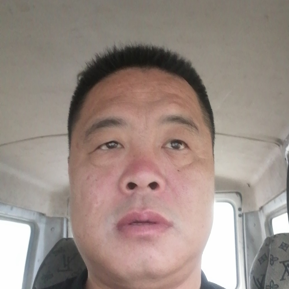 阳光爱恋大象的照片