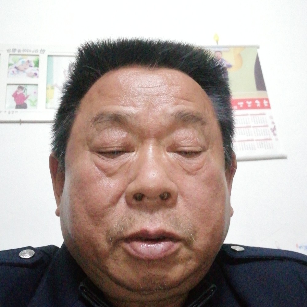 大雁有直率的照片