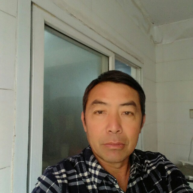 太阳演变初夏的照片