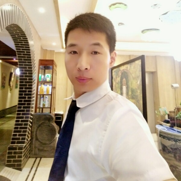向阳的爱情草的照片