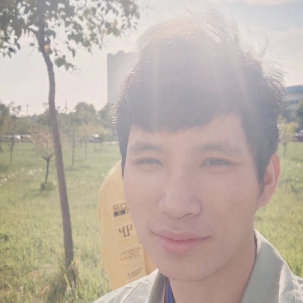 大雁等待靓丽的照片
