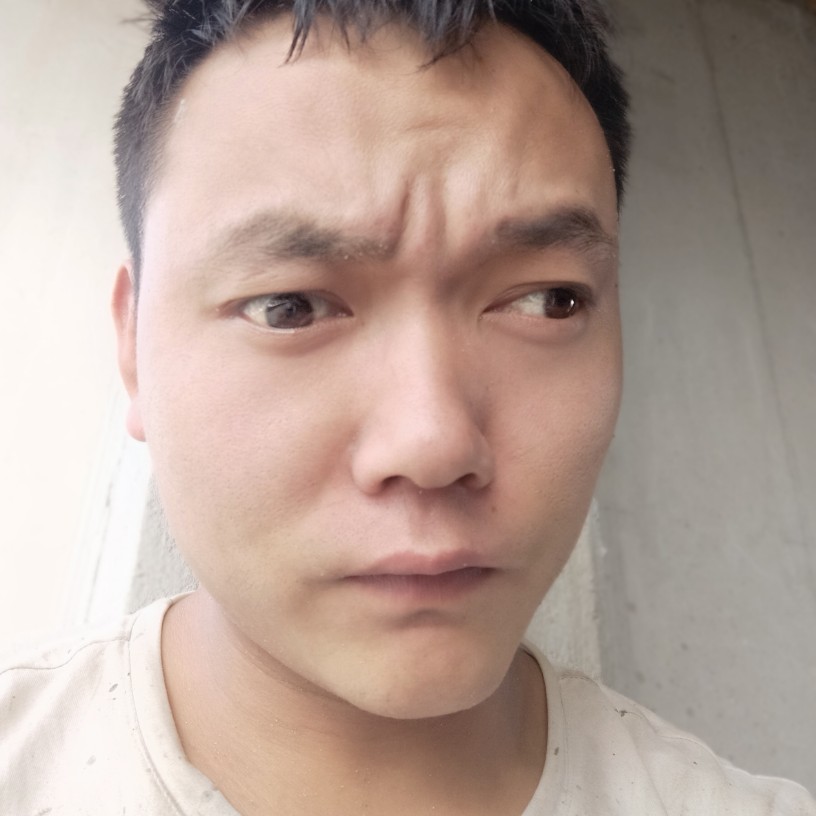 噢力给，的照片