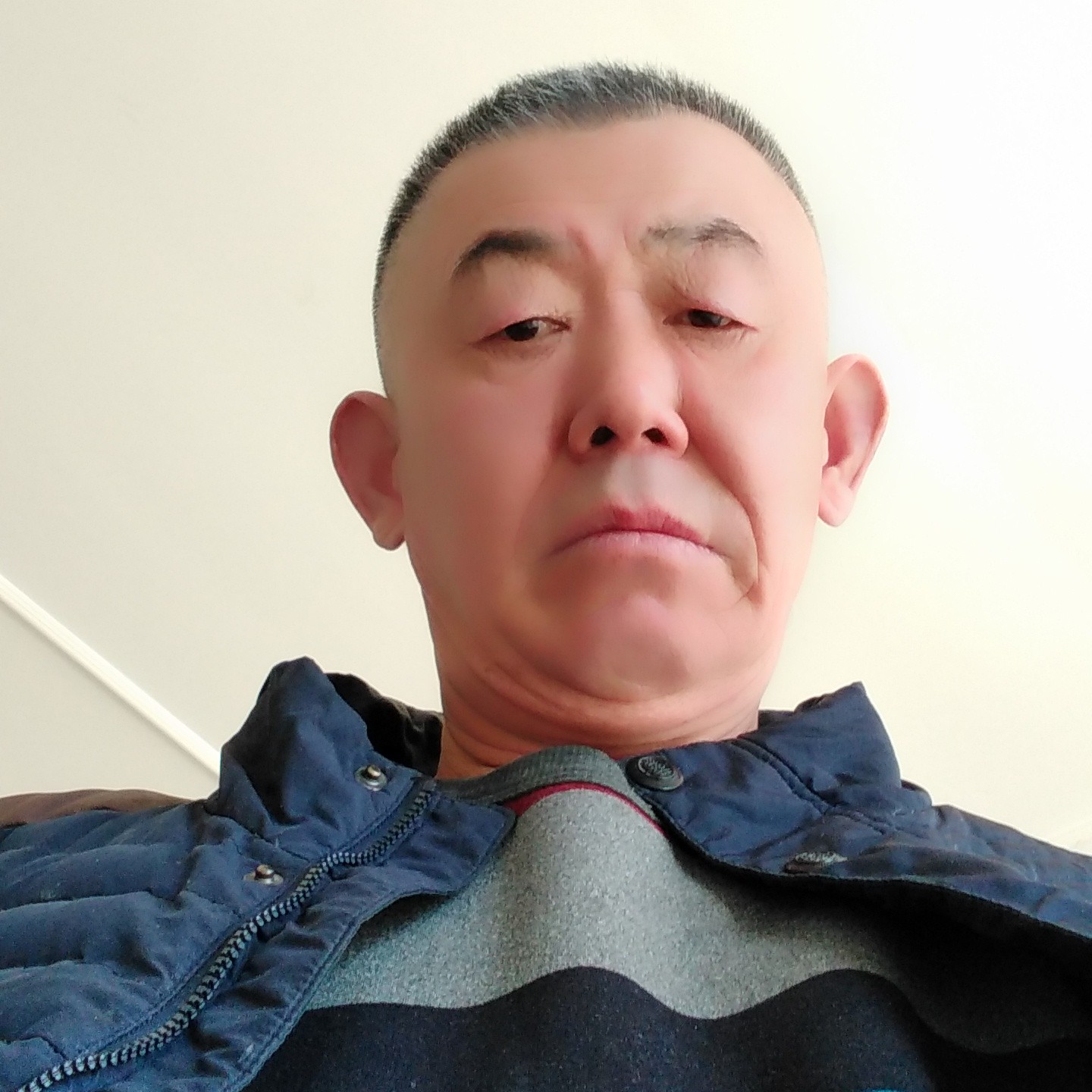羽毛与淡然的照片