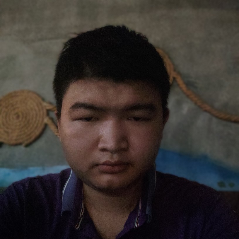 心是脆弱的的照片