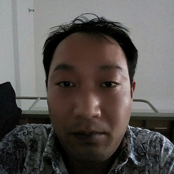 枕头漫步儒雅的照片