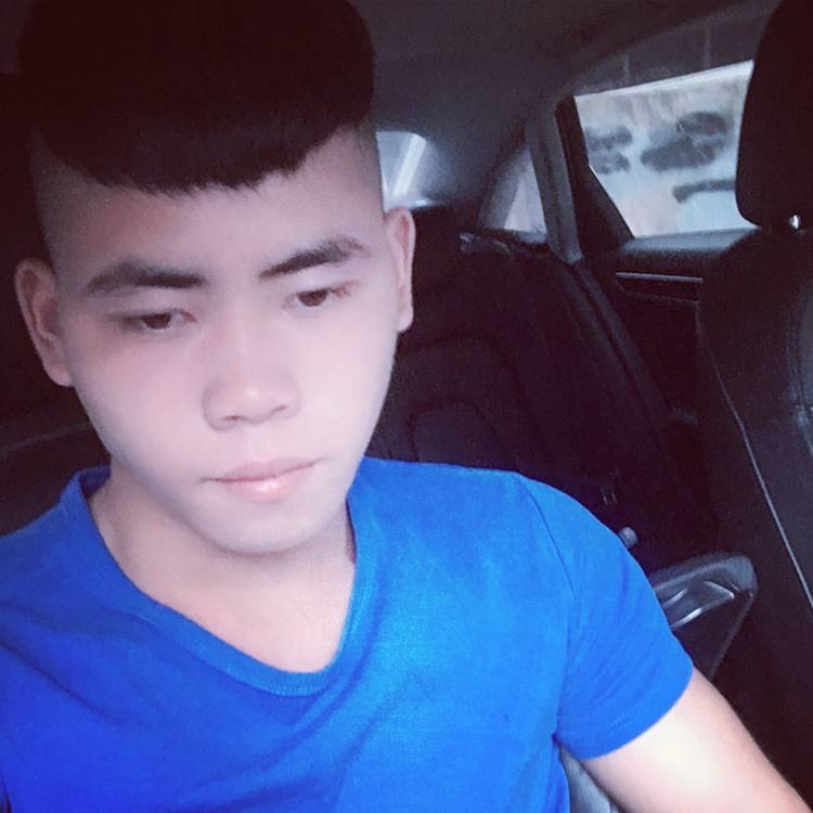 黄黄乐乐的照片
