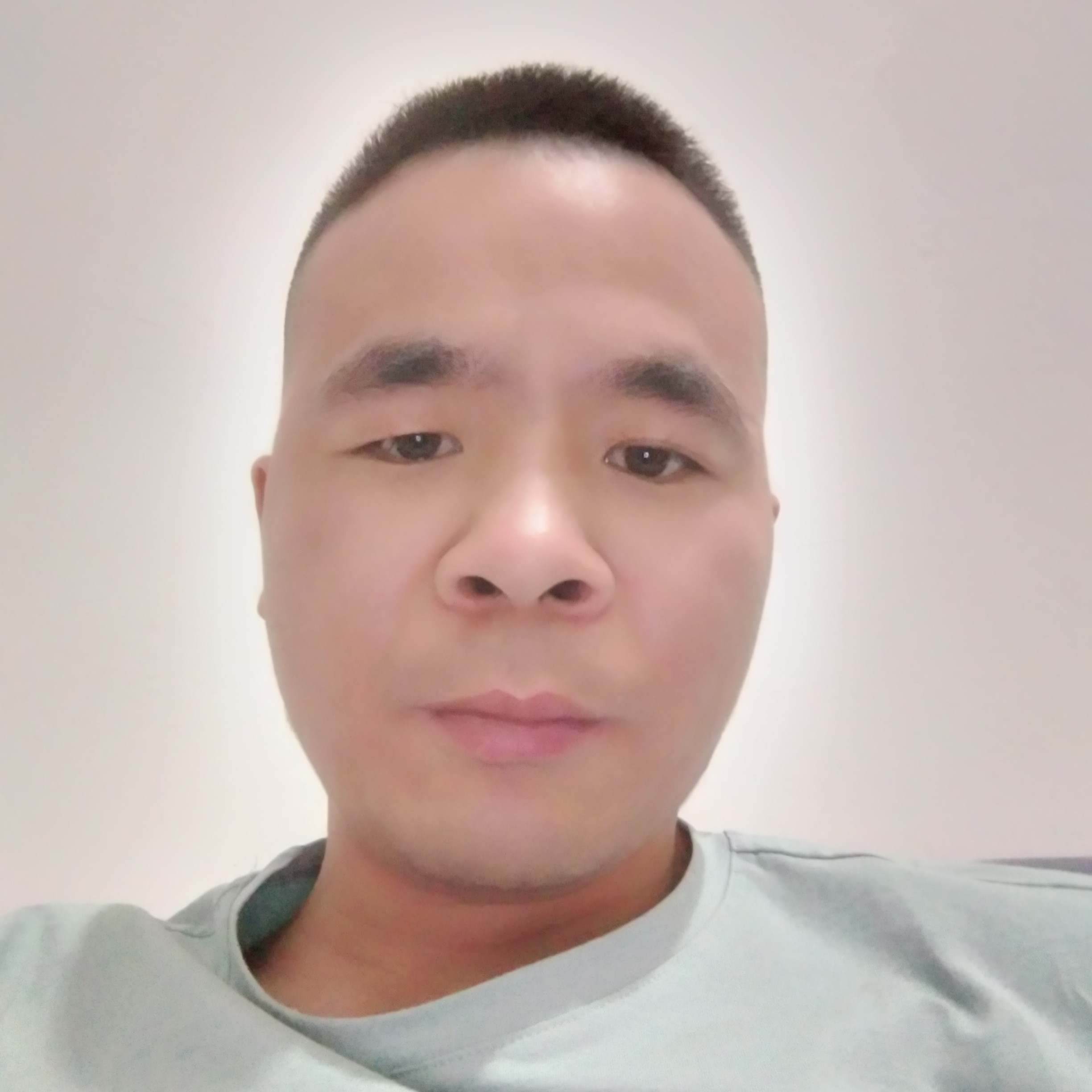 饱满白猫493的照片