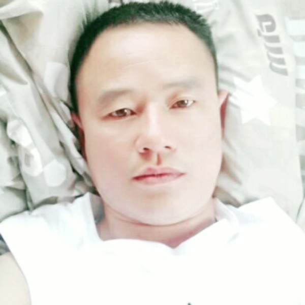 漠然停止野狼的照片