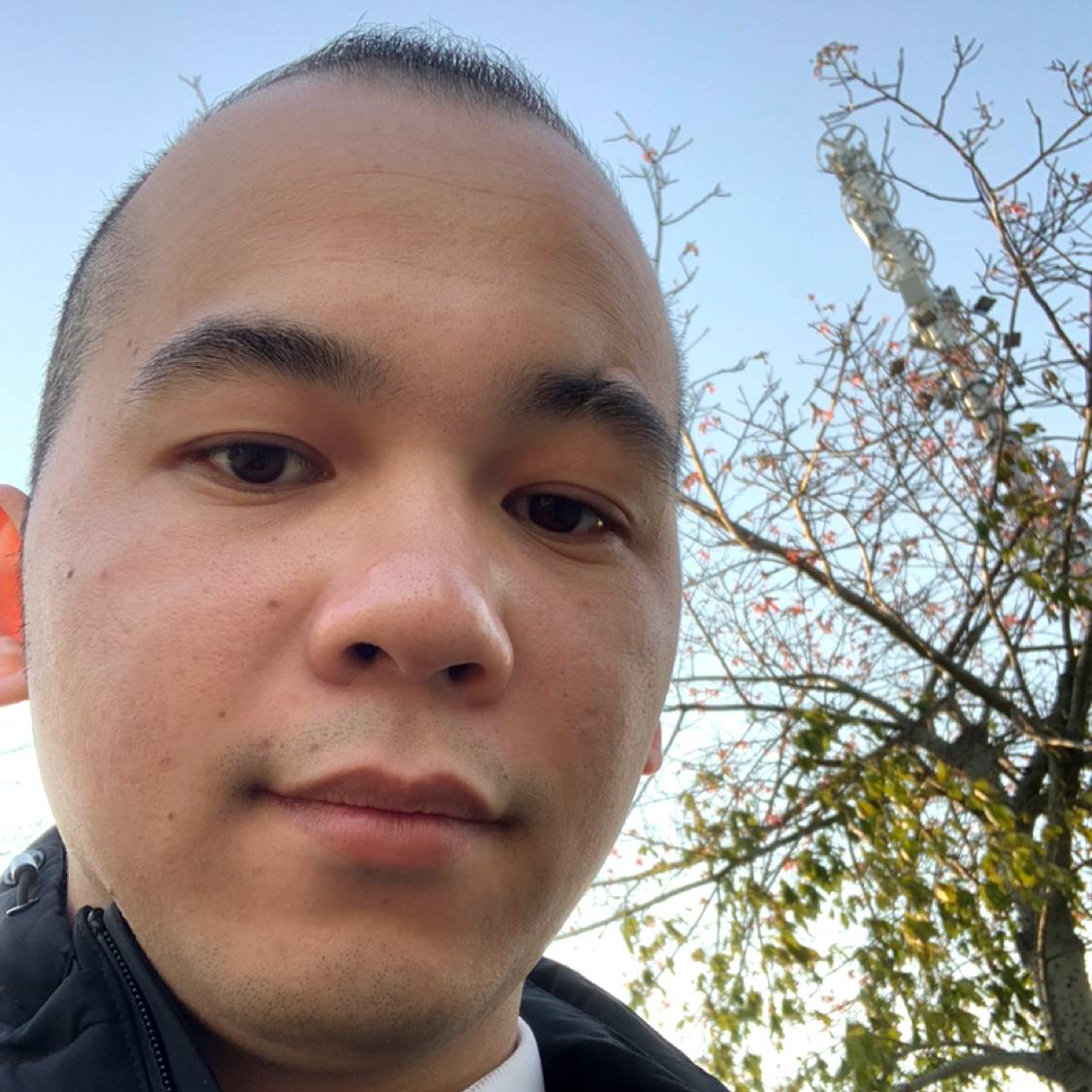Jlemon的照片