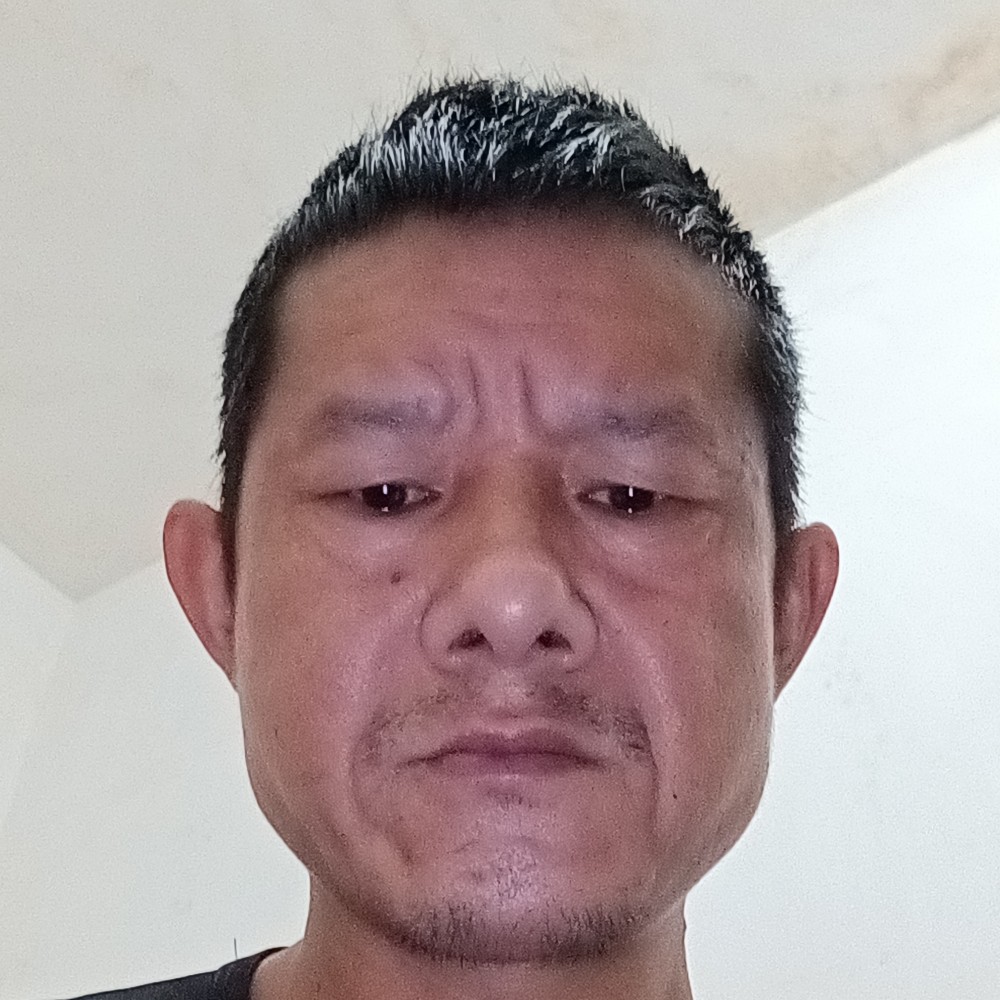 钢笔等待高大的照片