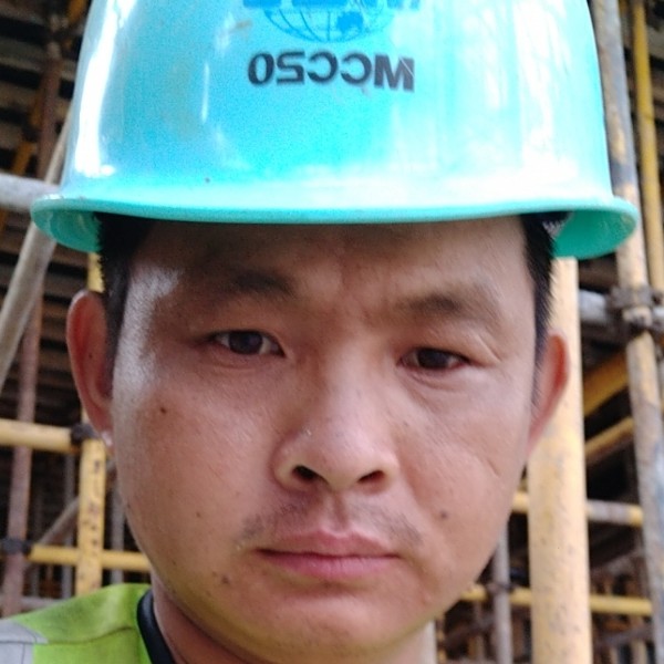 彩虹蹁跹高贵的照片