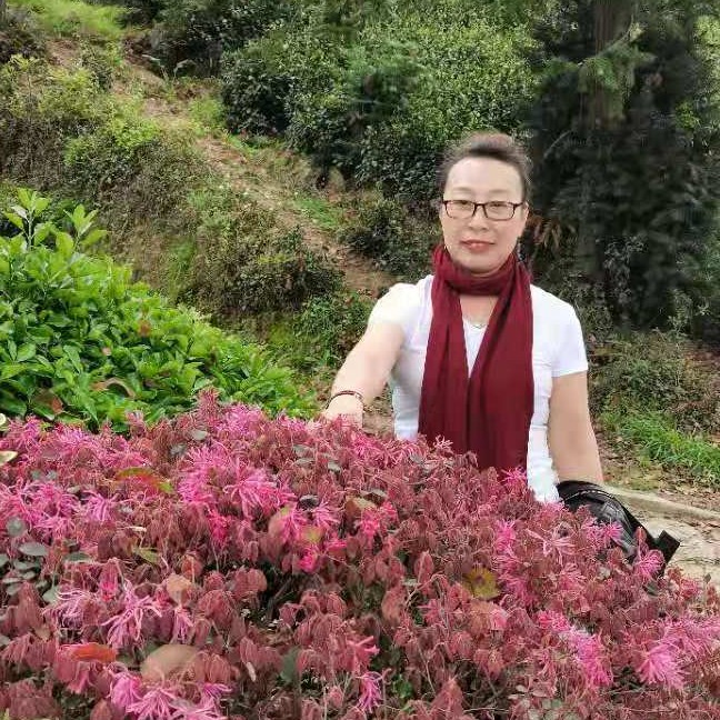 1刘金改2222的照片