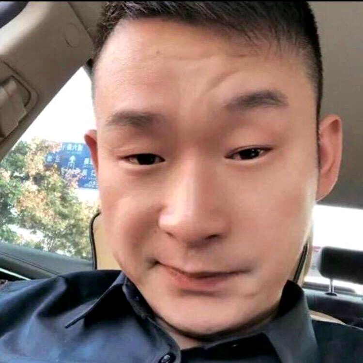 老实爱南鸢的照片