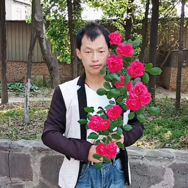 茉莉等于清爽的照片