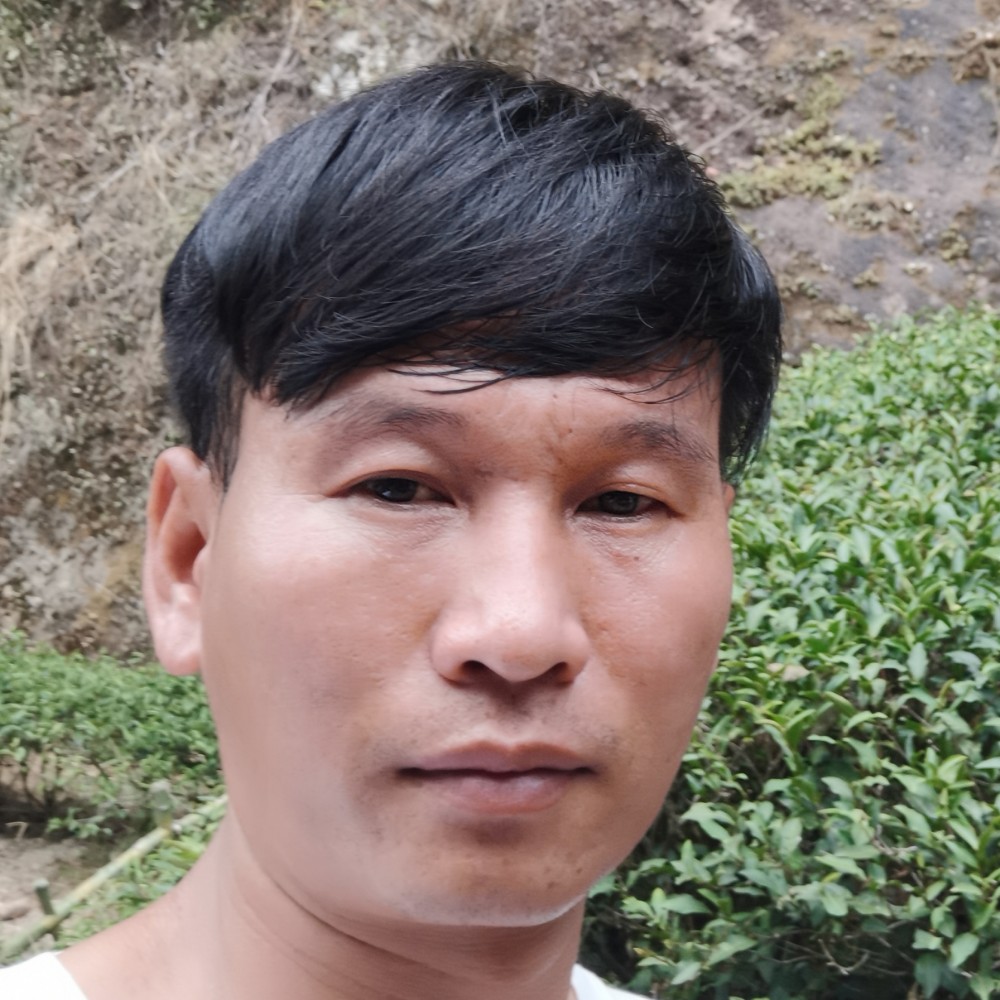 配色主角的照片