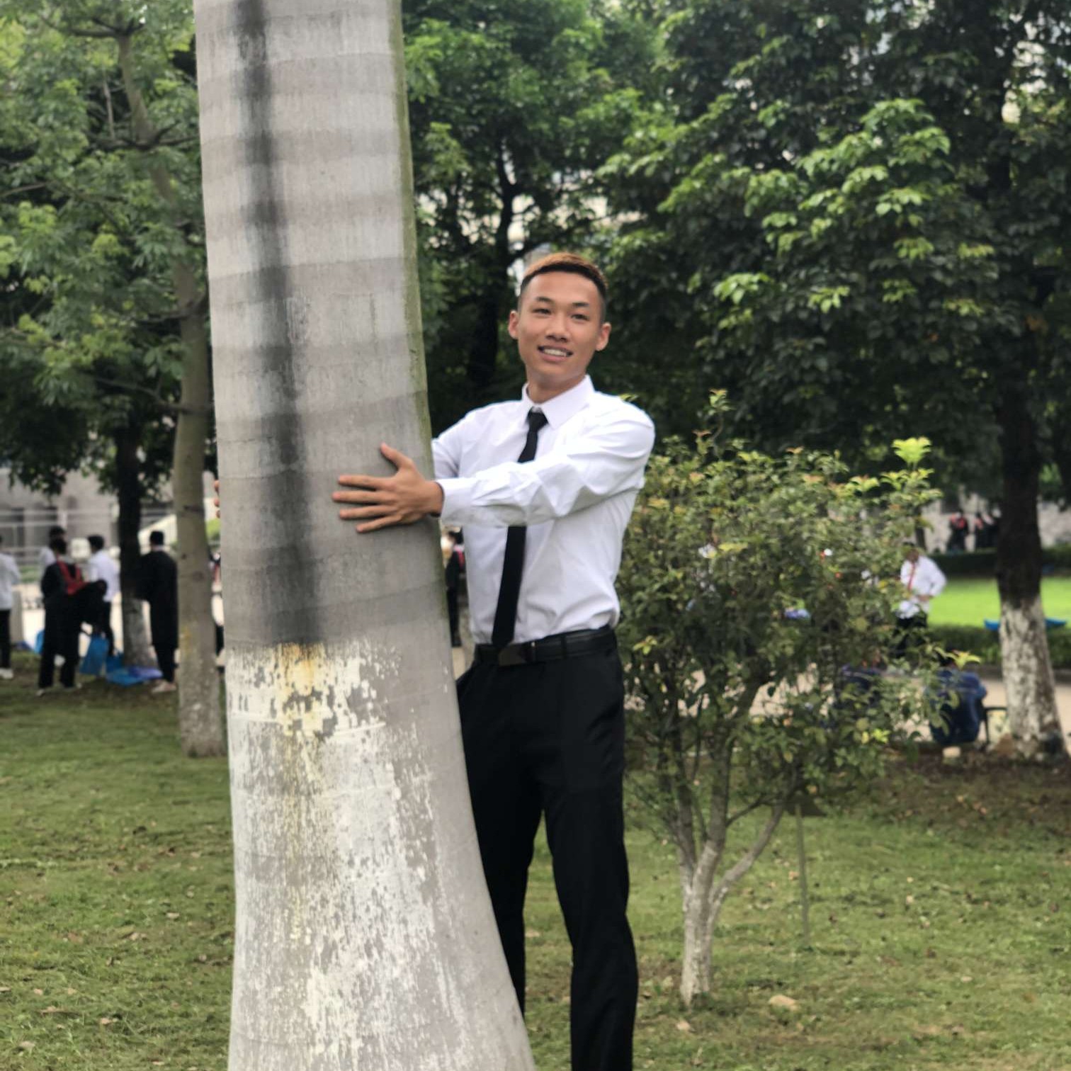 善良浅吻玫瑰的照片