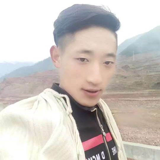 王伟66的照片