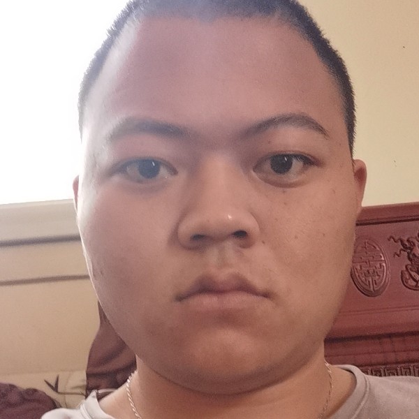 闪闪给南鸢的照片