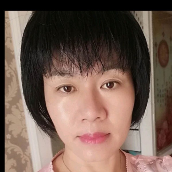 龙猫清秀的照片