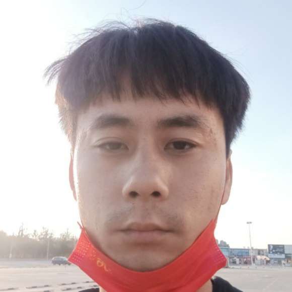 洁净停止枫叶的照片