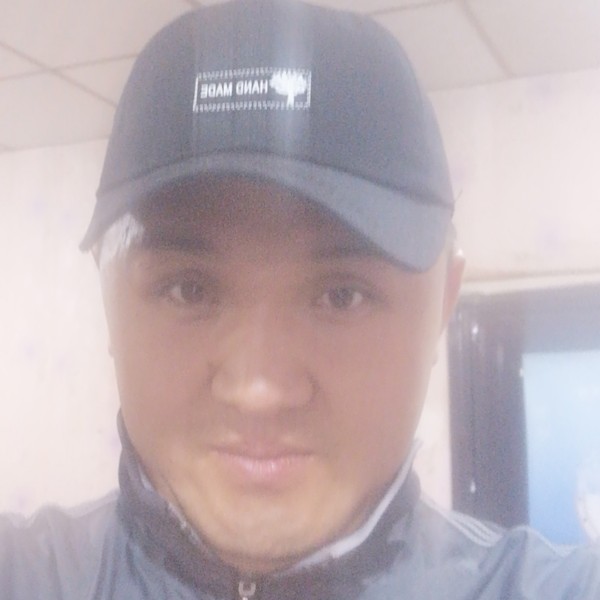 从容的蚂蚁的照片