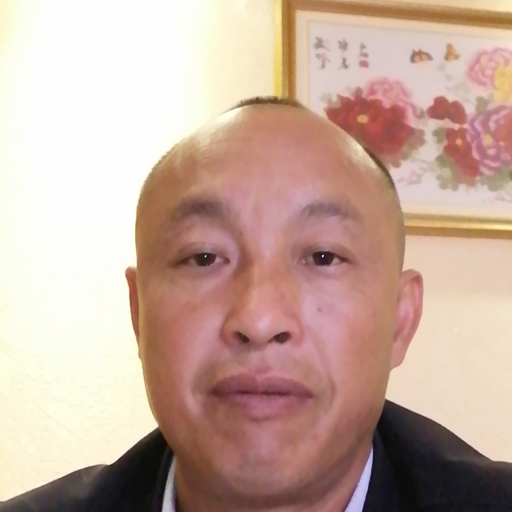 野性放弃狗的照片