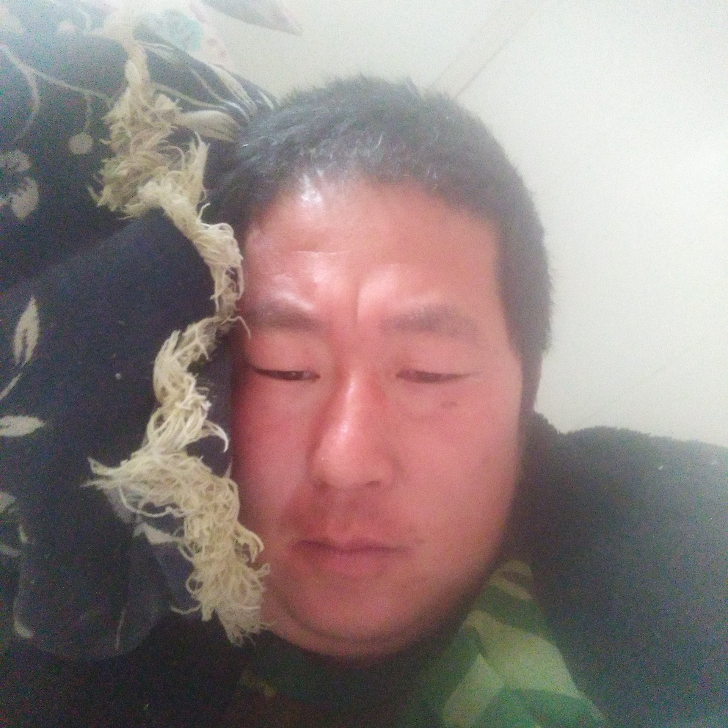 仙人掌爱跳跃的照片