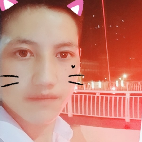 金鱼疯狂的照片