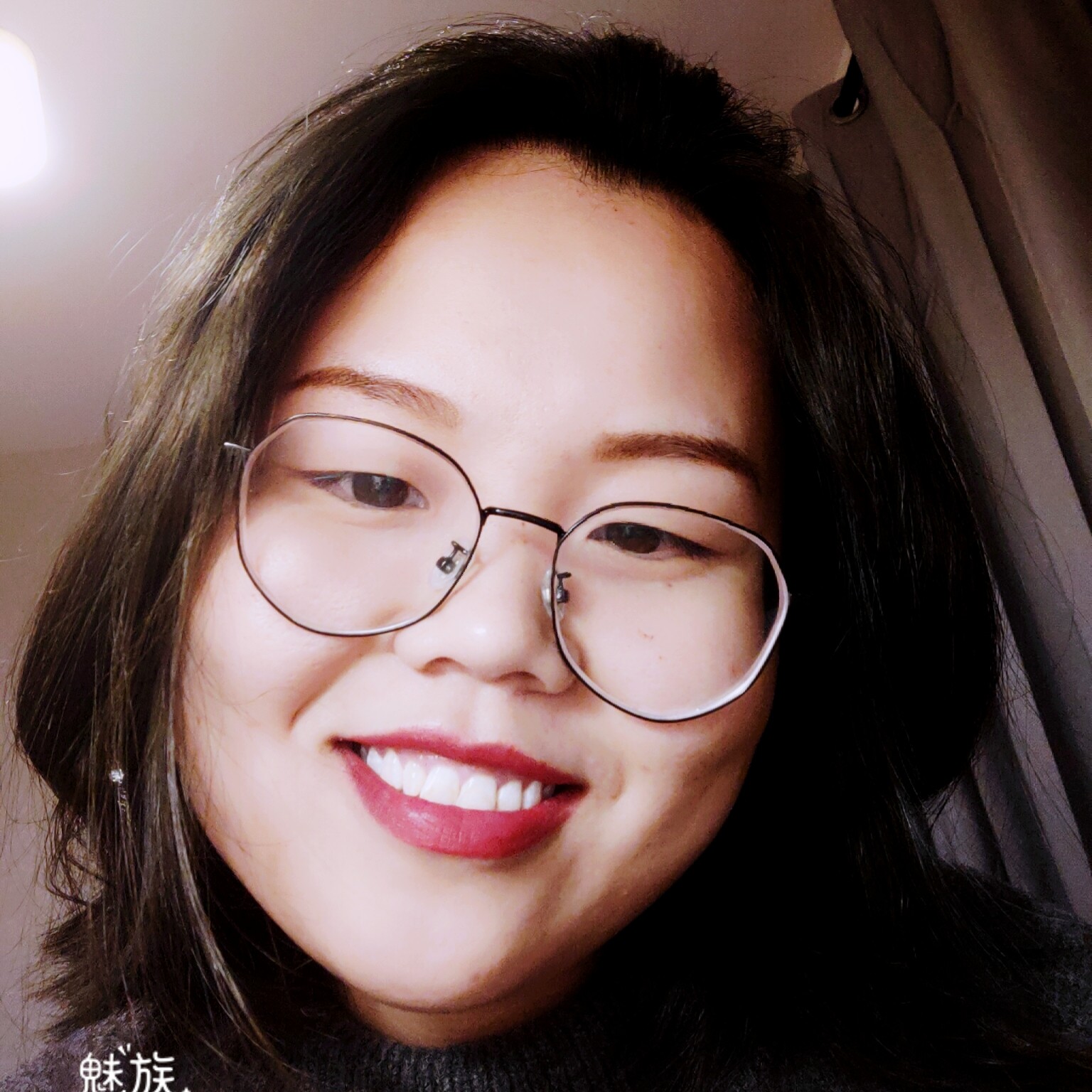 一条刺猬的照片