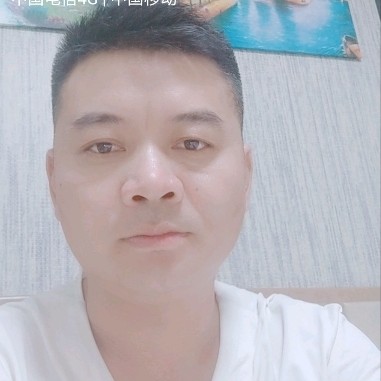害羞回首白猫的照片