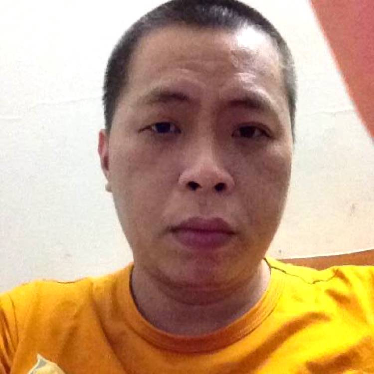 小松鼠迎可爱的照片