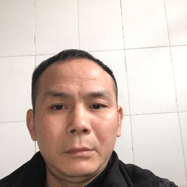 摩托那完美的照片