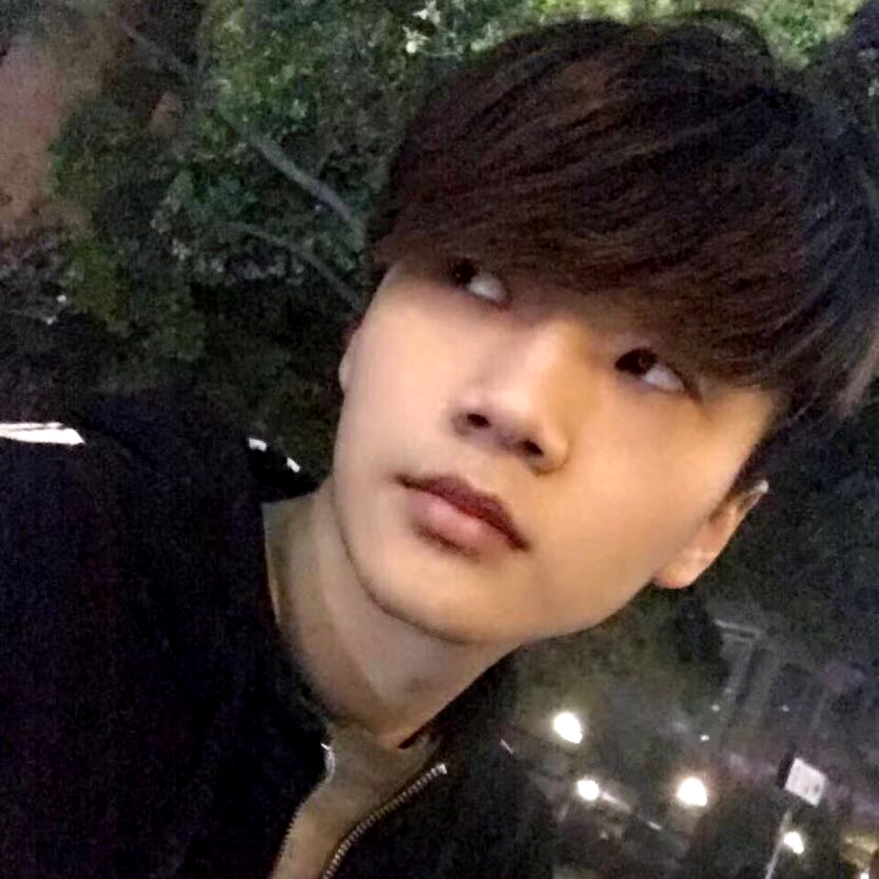 江南2639的照片