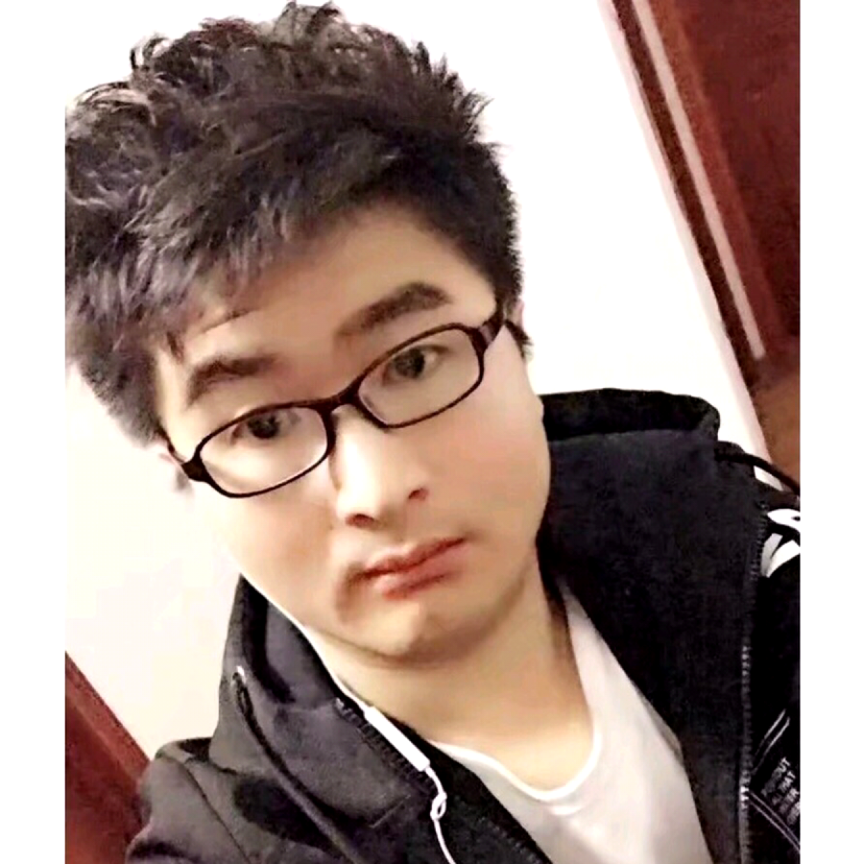 康乃馨热心54的照片
