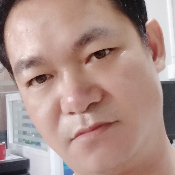 小鸽子殷勤的照片