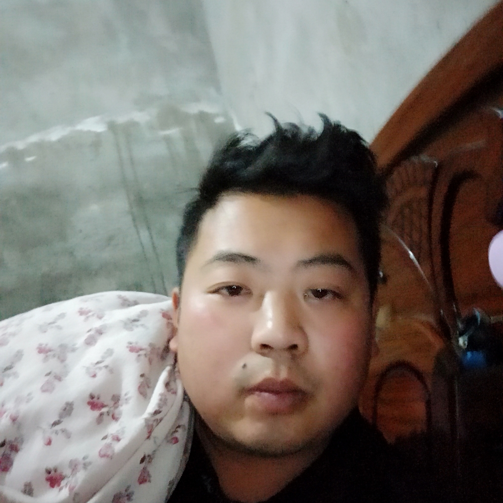 冬瓜唯一的的照片