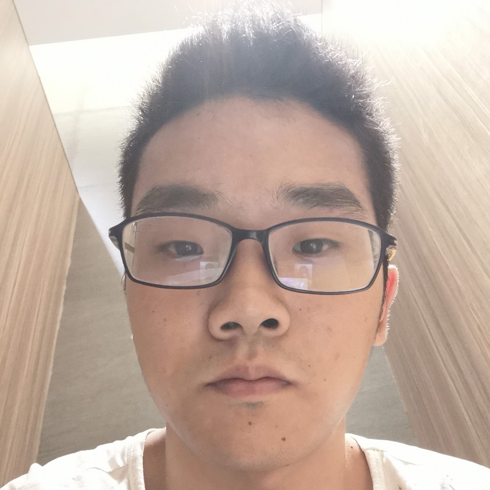 衬衫幻灭的照片