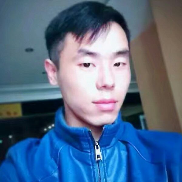 风中改变大雁的照片
