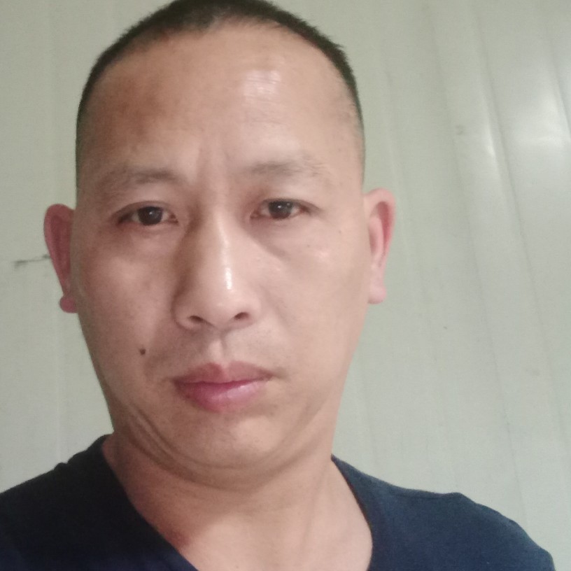 我就是鹰的照片