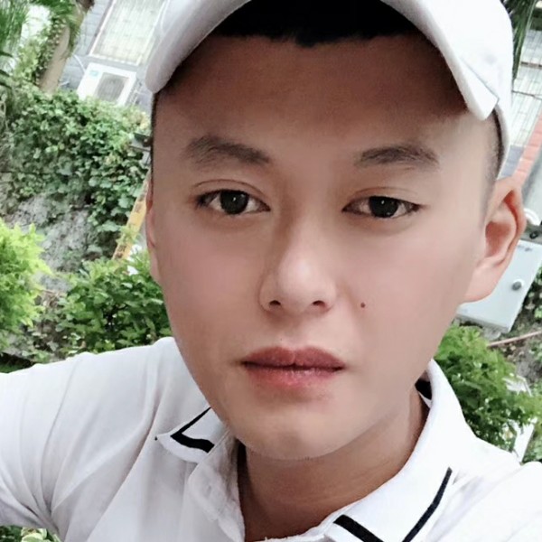 小海豚说俊逸的照片